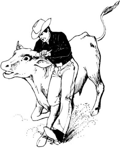 Bucking Bull Coloring Page